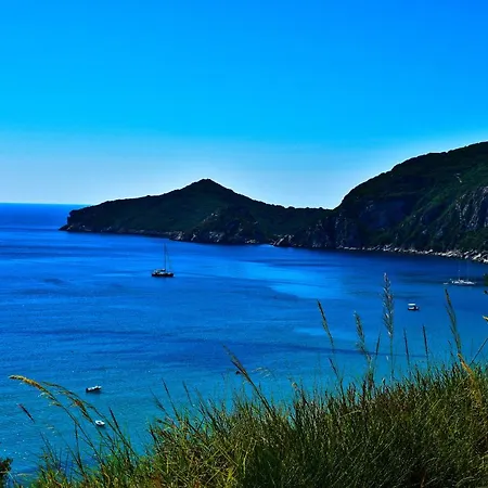 Delfini شقة فندقية