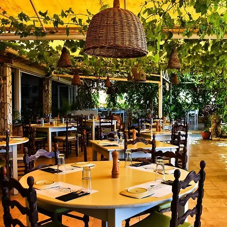Aparthotel Delfini Agios Georgios Pagon