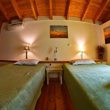 Delfini Agios Georgios Pagon